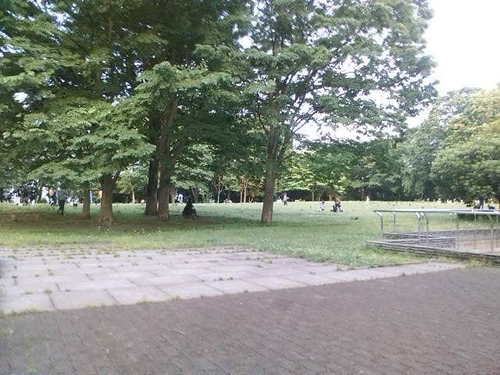 park.JPG